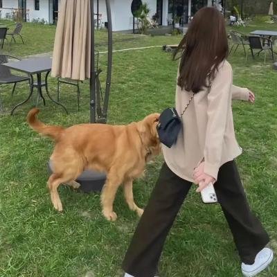 唐吉诃德
