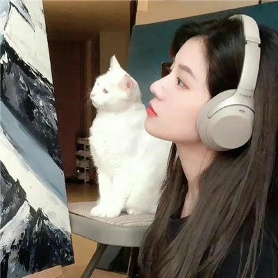 桃花映江山